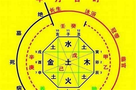 喜用火|八字喜火是什么意思